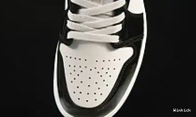 DV1309-100 Jordan Low Concord 1 SE 0419